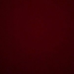 Meet your Posher, Cheyenne